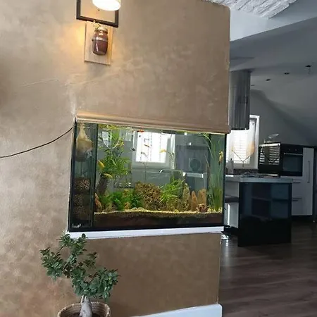 דירה Penthouse Bacvice